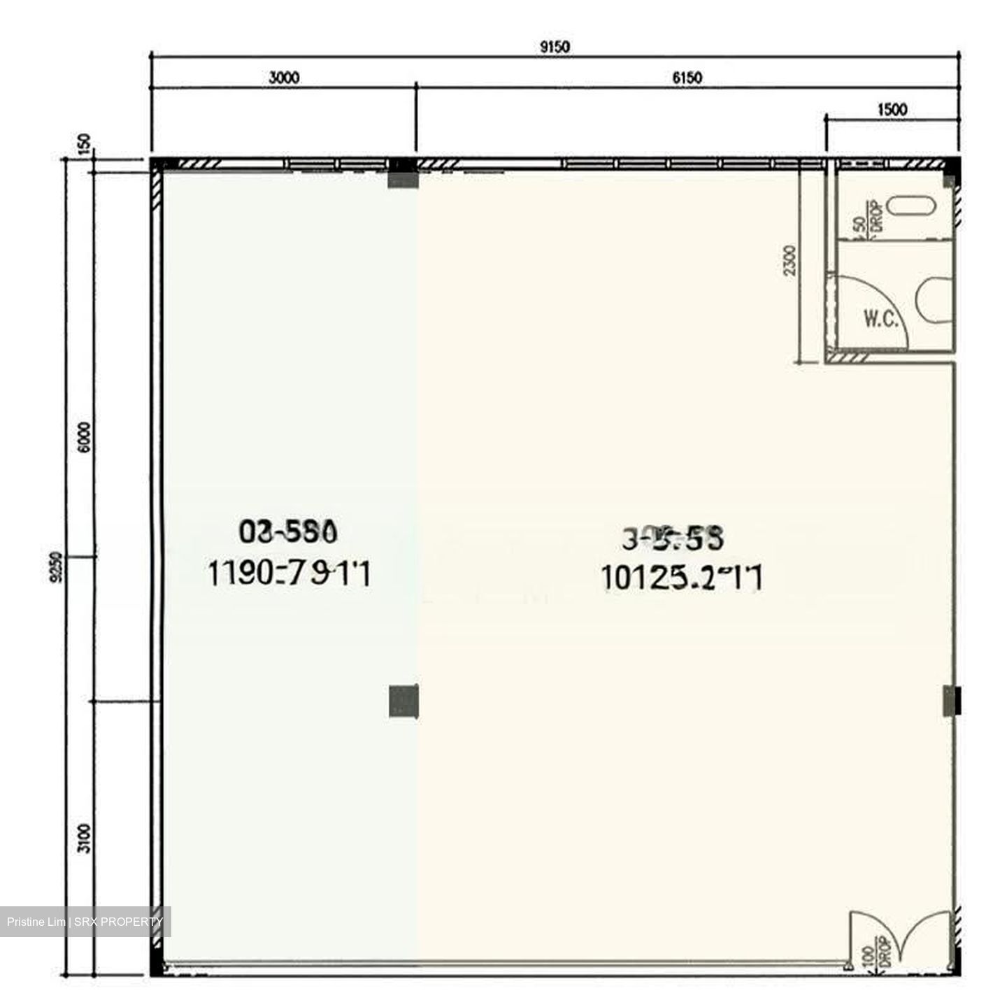 Hong Lim Complex (D1), Shop House #618745291